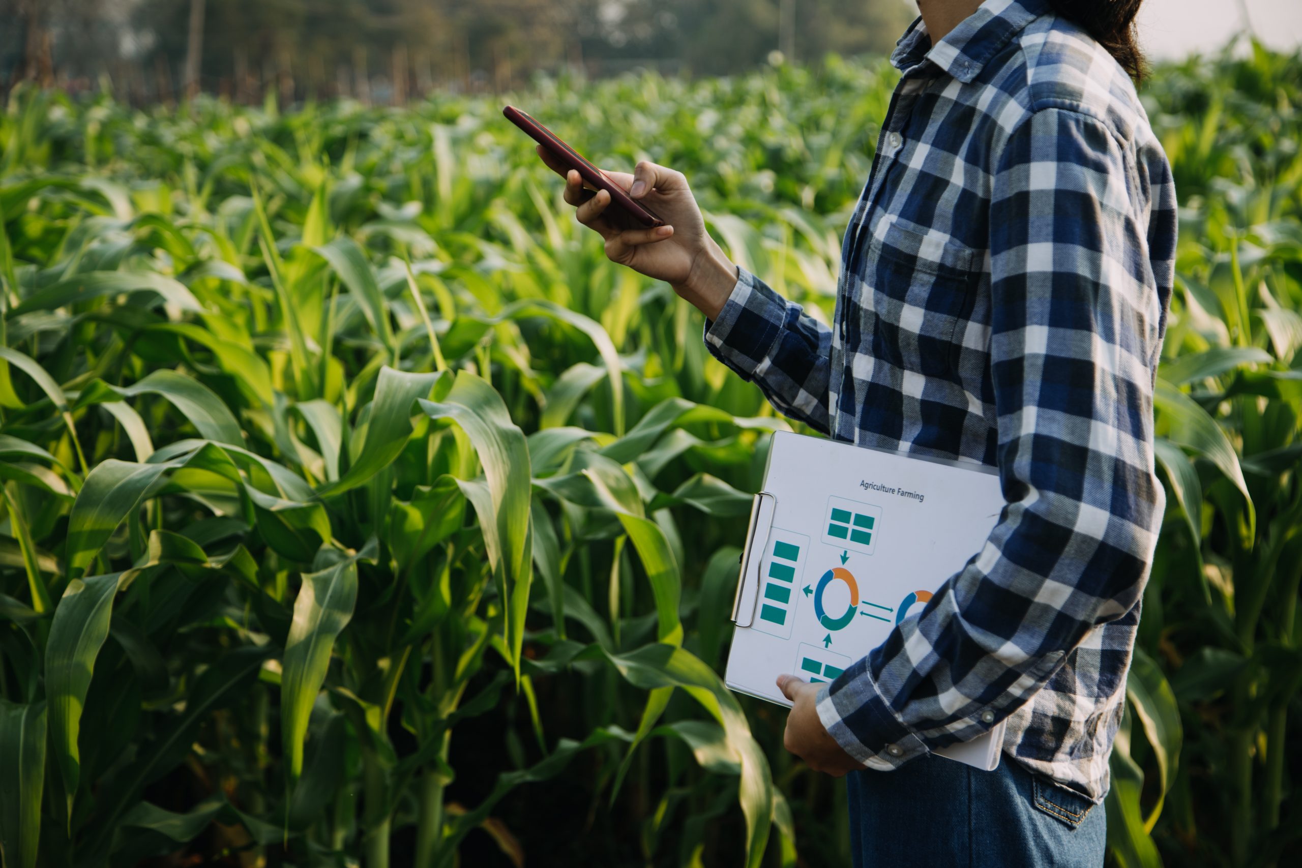 Where Is Mechanization Demand Growing Fastest? Assessing Farm Size, Labor Costs, and Crop Economics Agricultural-machinery-market-assessment-scaled