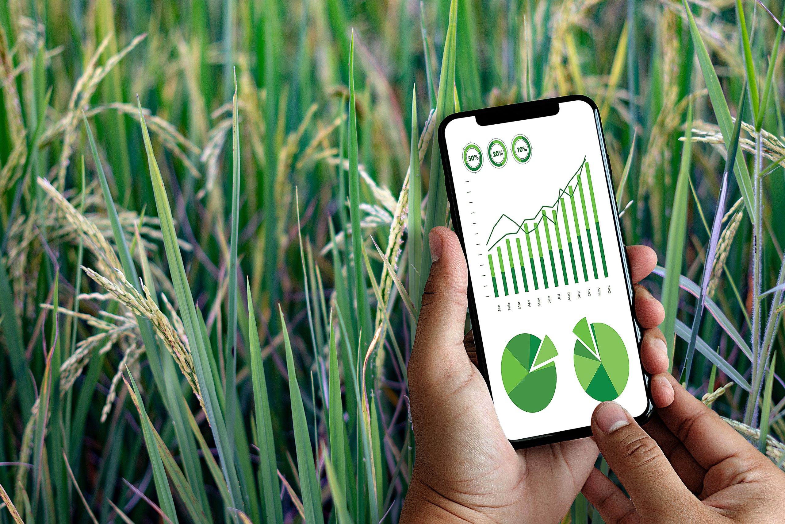 Can Domestic Agriculture Compete Globally on Cost, quality, and reliability? Agricultural-trade-competitiveness-assessment-scaled