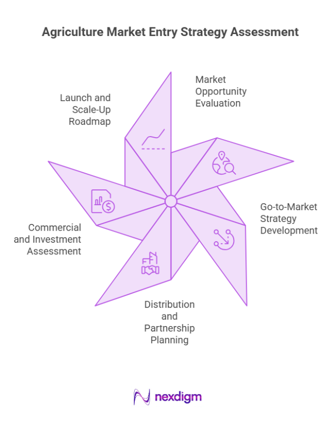 Agriculture Market Entry Strategy Assessment