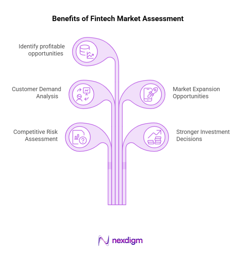 Benefits to Fintech Market Assessment