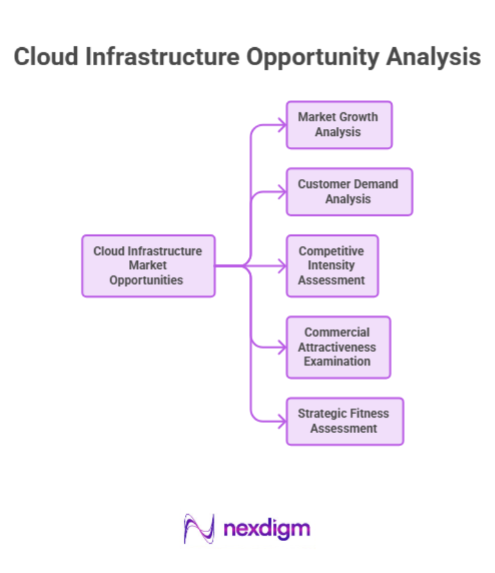 Cloud Infrastructure Opportunities Analysis