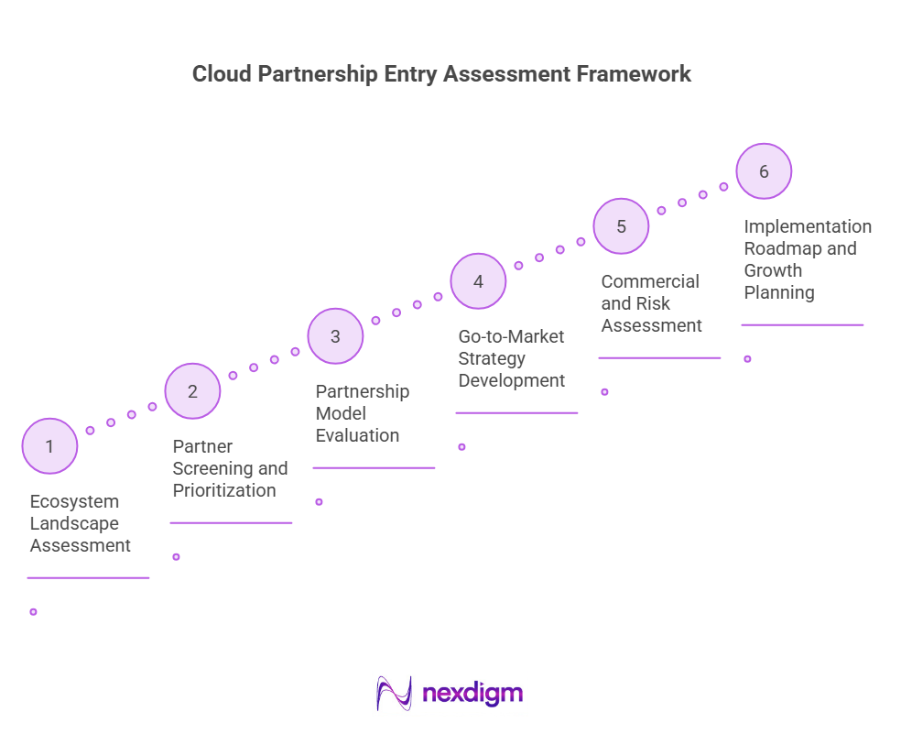 Cloud Partnership Entry Assessment Framework