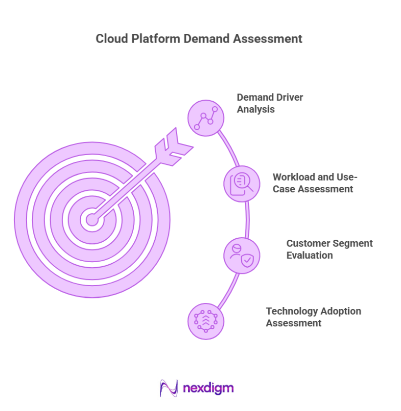Cloud Platform Demand Assessment