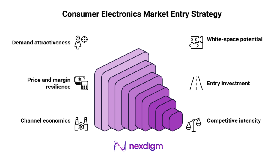 Consumer Electronics Market Entry Strategy