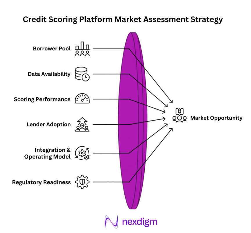 Credit Scoring Platform Market Assessment strategy
