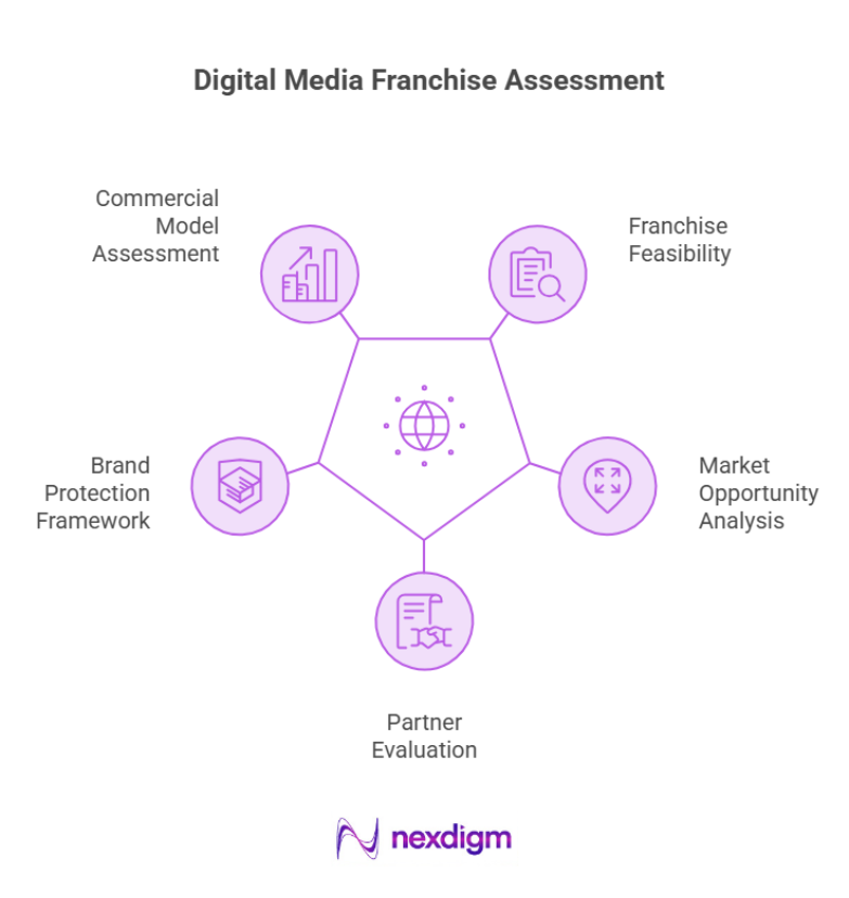 Digital Media Franchise Assessment