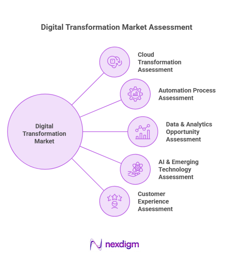 Digital Transformation Market Assessment