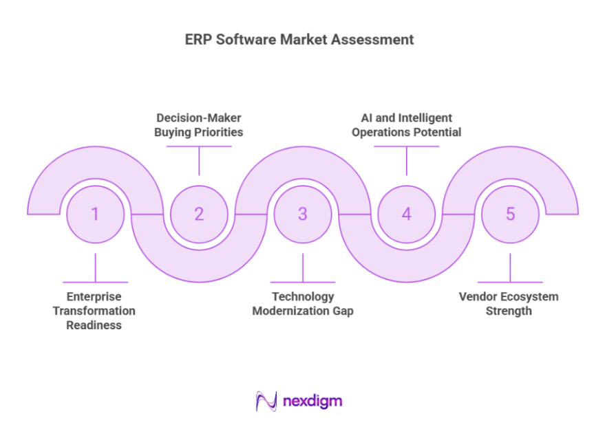 ERP Software Market Assessment