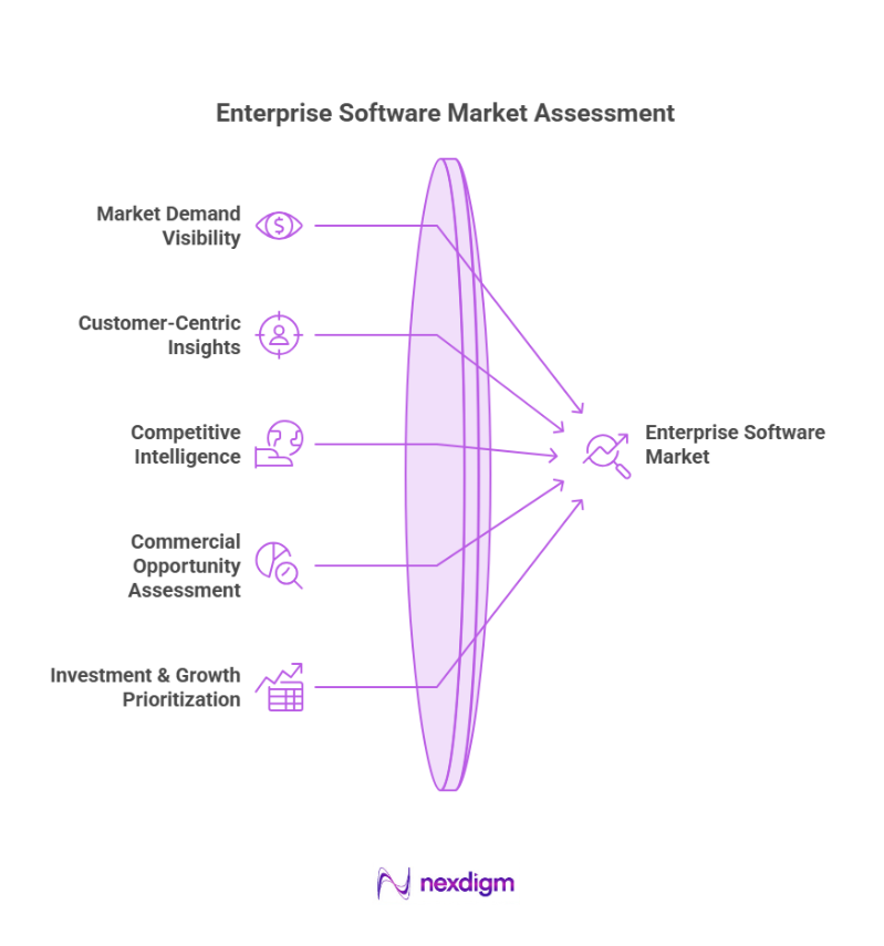 Enterprise Software Market Assessment