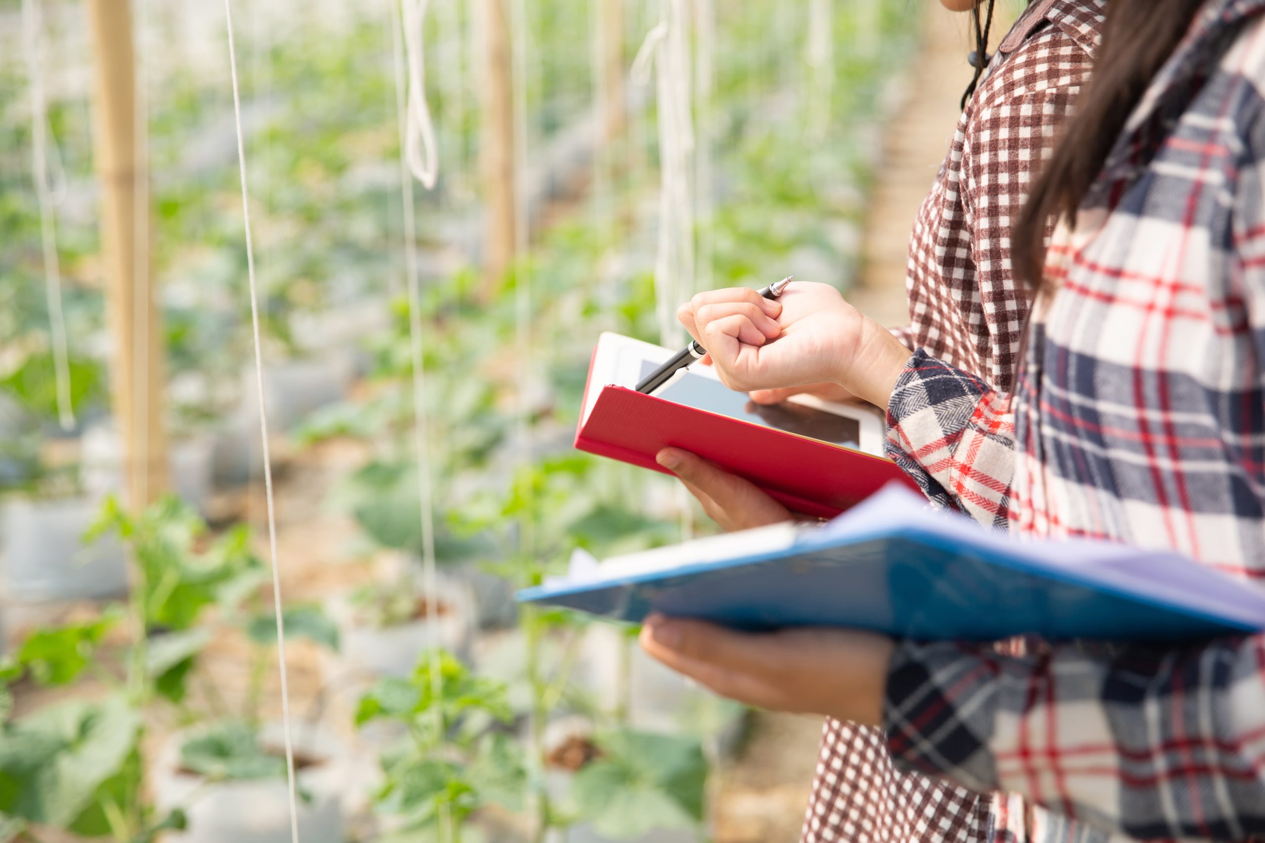 Farm Productivity Market Assessment: Mapping yield, mechanization, inputs, irrigation, and technology adoption Farm-productivity-market-assessment-scaled