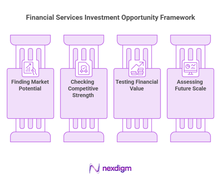 Financial Services Investment Opportunity Framework