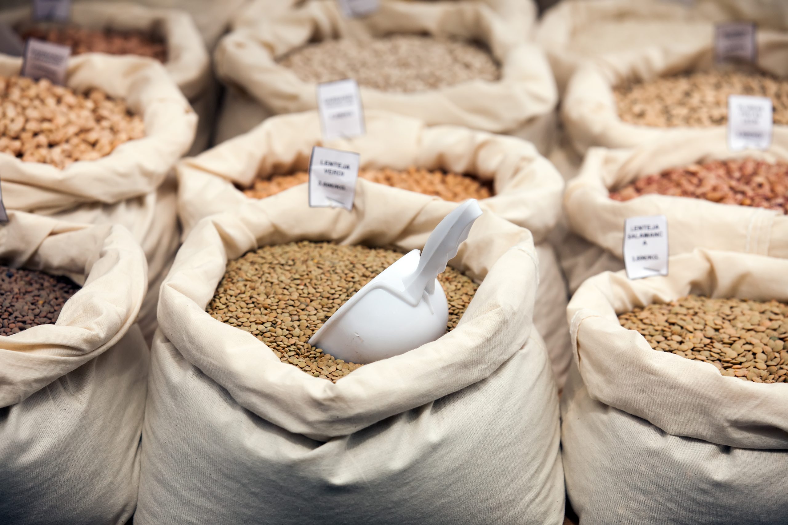 What Is Driving Grain Demand Across Food, Feed, Processing, and Trade? Grain-market-demand-assessment-scaled
