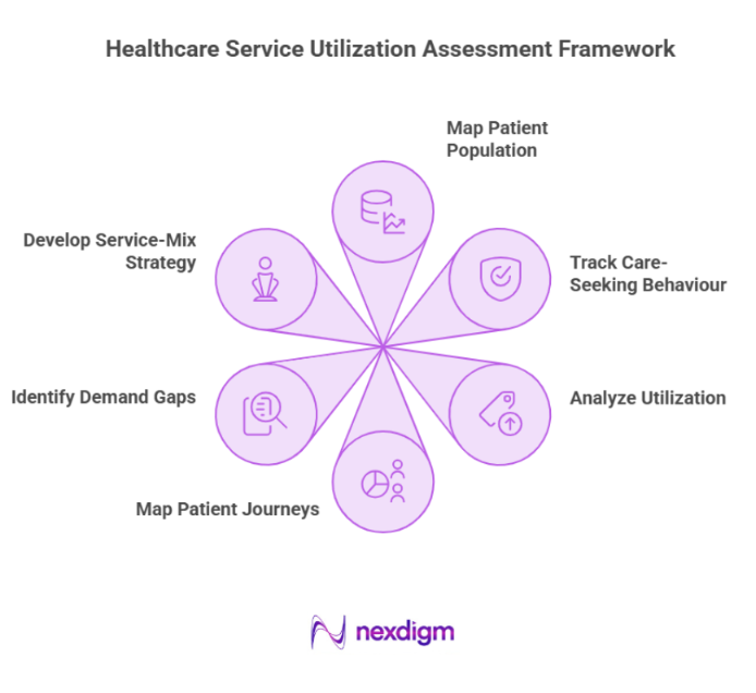 Healthcare Services Utilization Assessment Framework