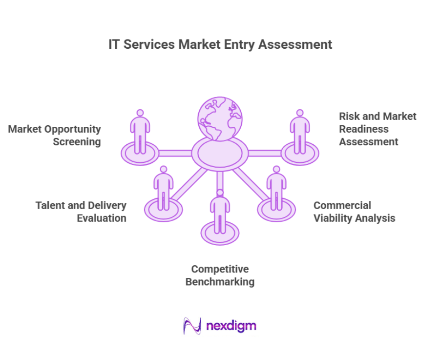 IT Services Market Entry Assessment