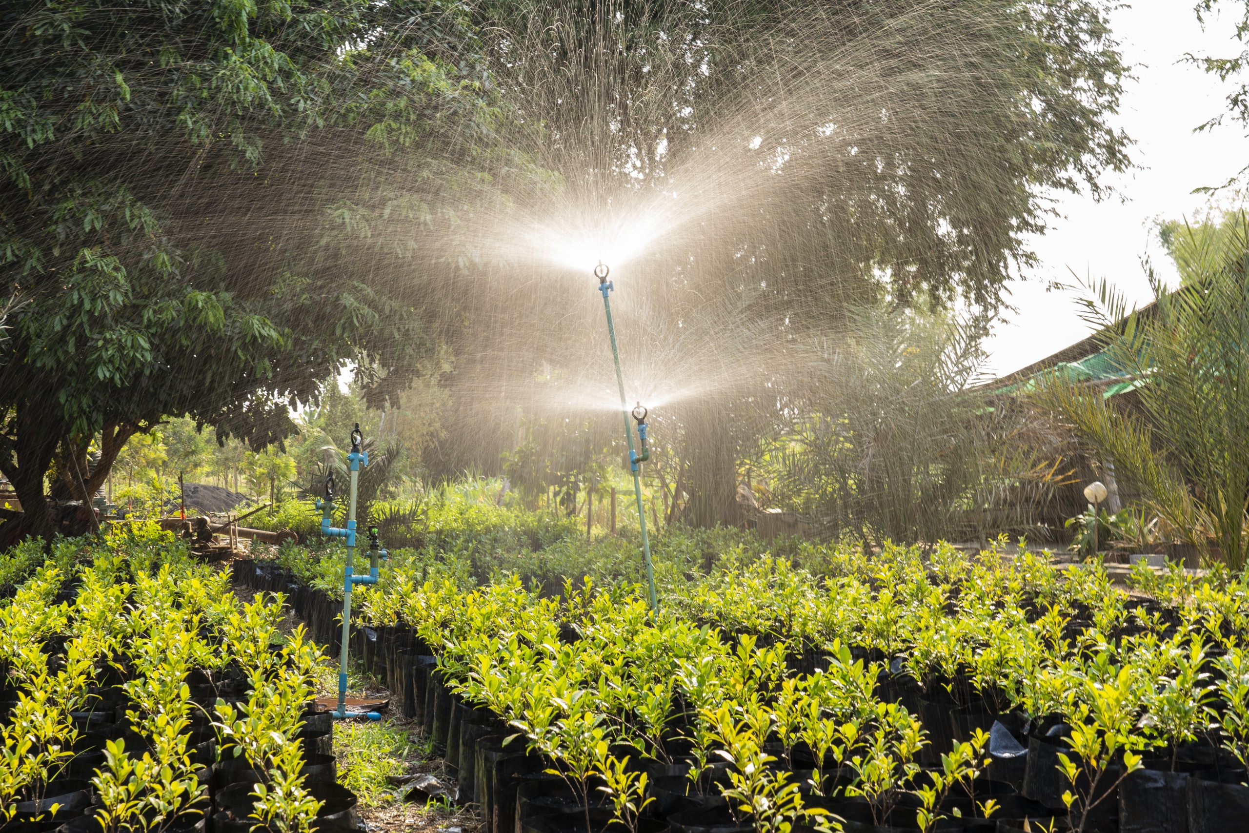 India Micro Irrigation Systems Market Outlook to 2035 India-Micro-Irrigation-Systems-Market-scaled