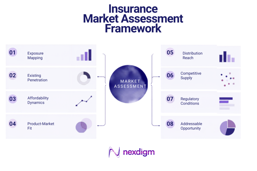 Insurance Market Assessment Framework