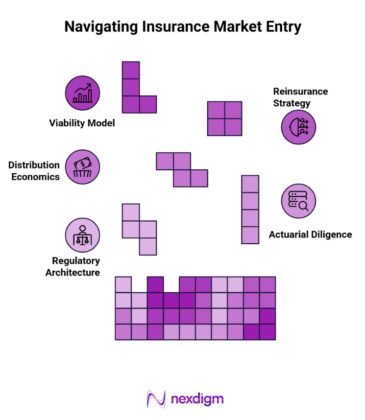 Insurance Market Entry Framework