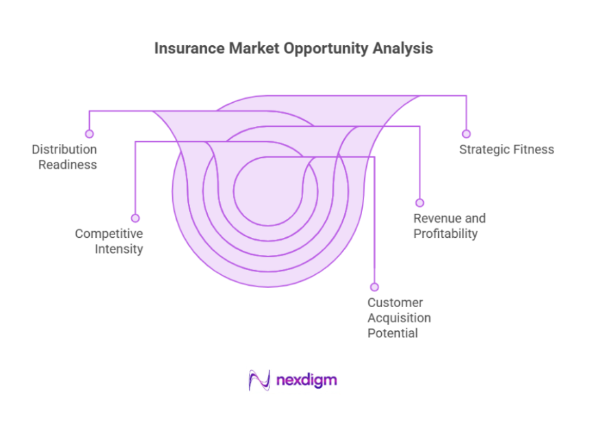 Insurance Market Opportunities Analysis