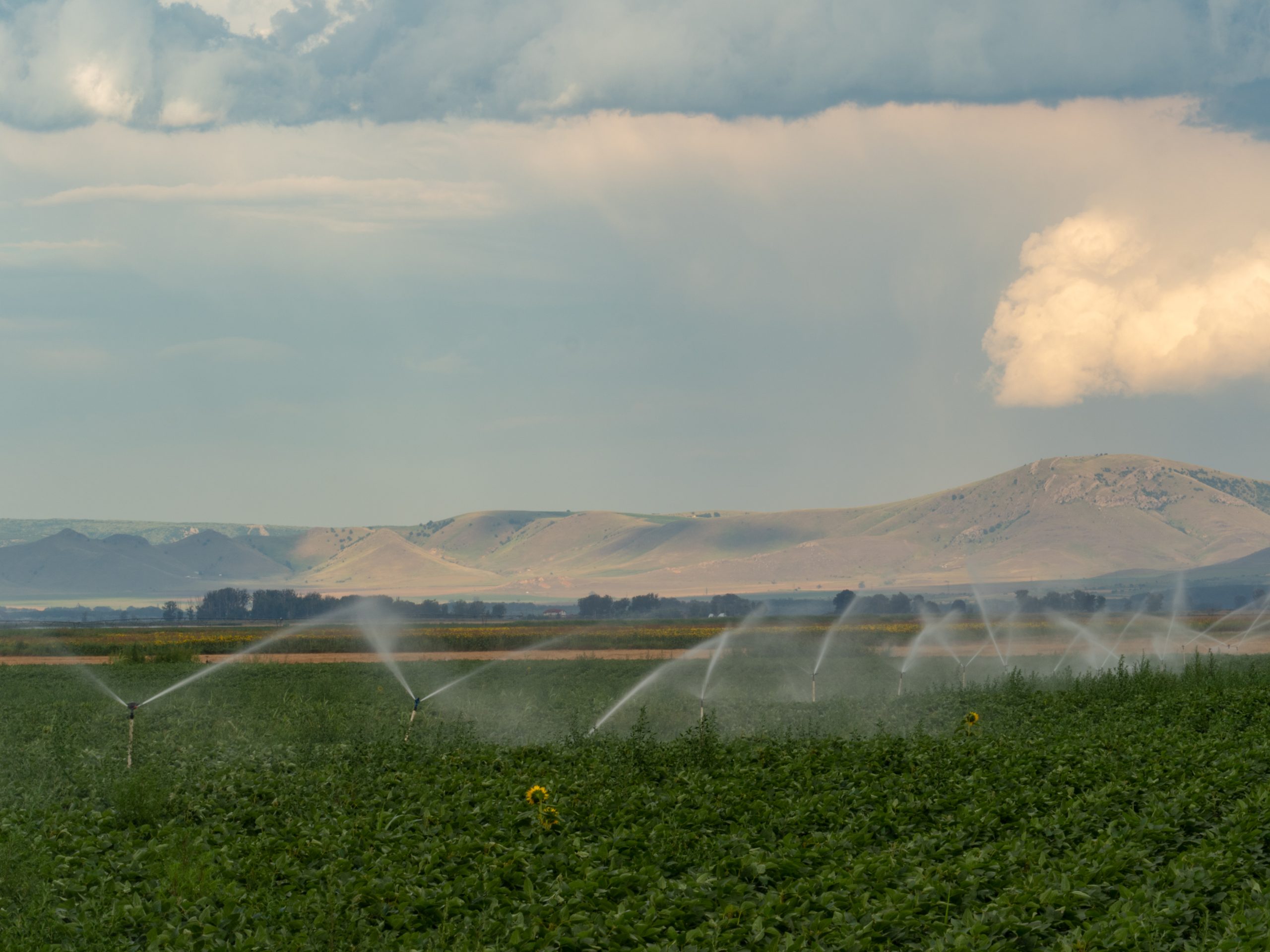 KSA Micro Irrigation Systems Market Outlook to 2035 KSA-Micro-Irrigation-Systems-Market-scaled