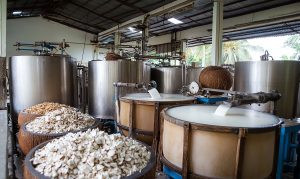 Malaysia Native Starch Market Outlook to 2035