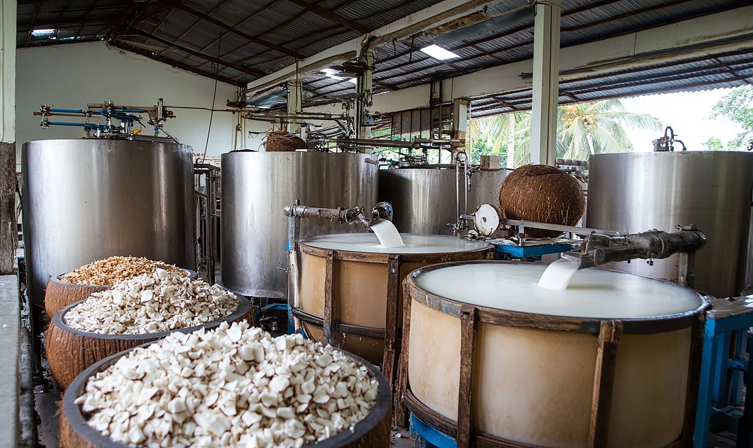 Malaysia Native Starch Market Outlook to 2035 Malaysia-Native-Starch-Market-scaled