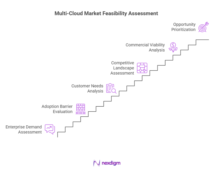 Multi-Cloud Market Feasibility Assessment