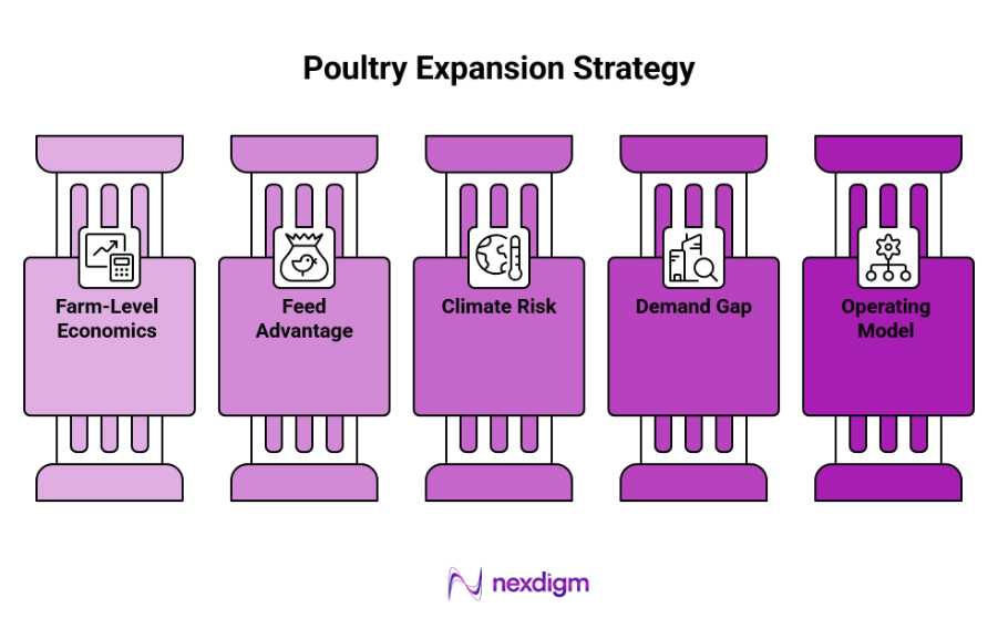 Poultary Production-to-Demand Cluster Framework