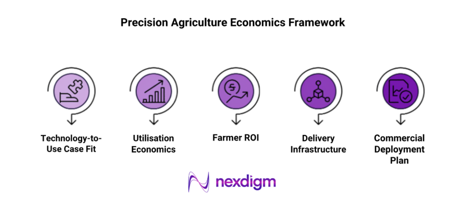 Precision Agriculture Economics Framework