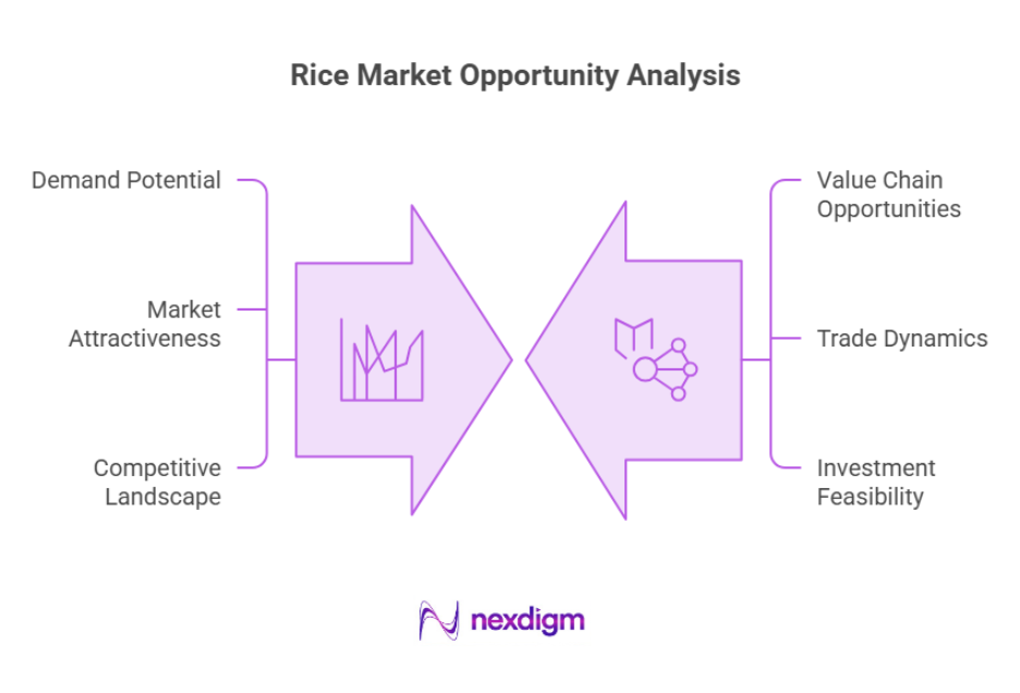 Rice market opportunity analysis
