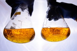 Singapore Ester Lubricant Market Outlook to 2035