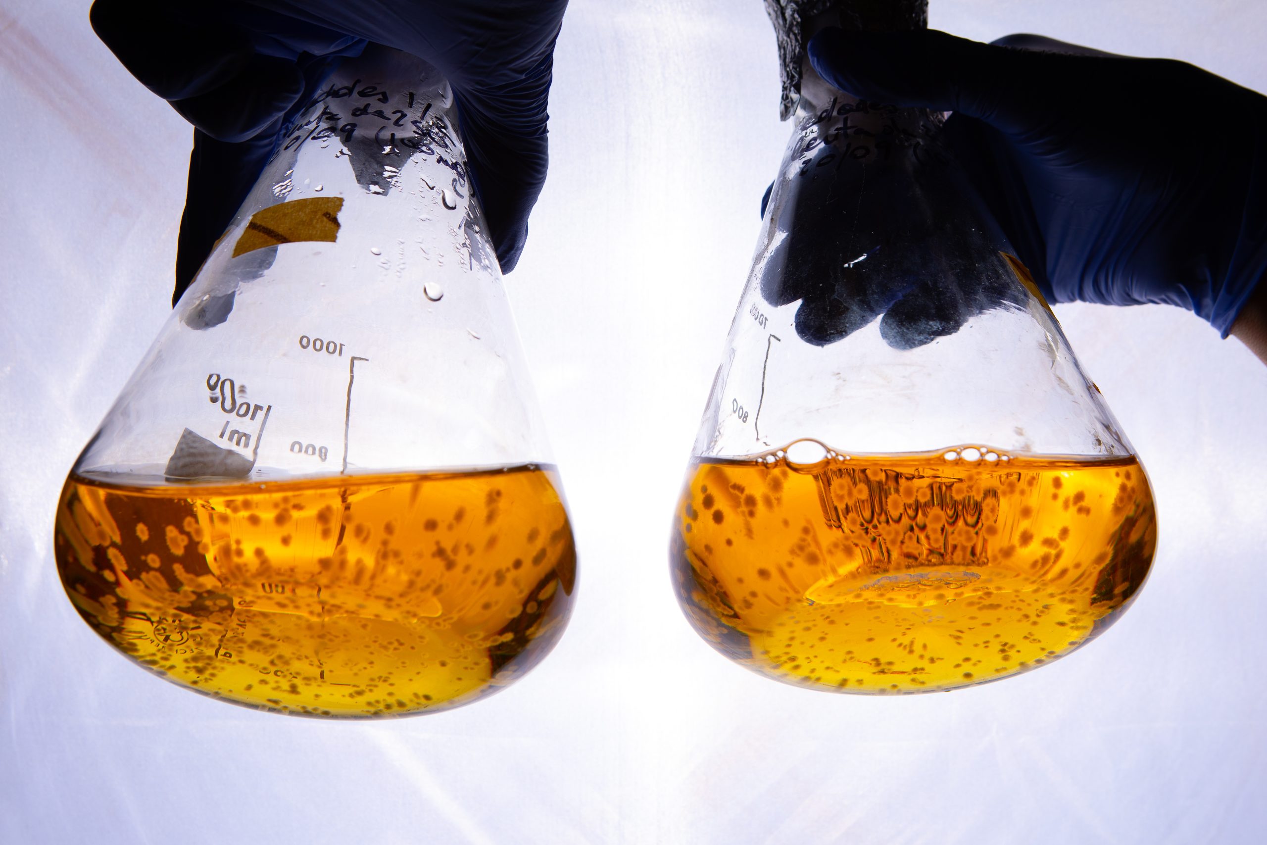Singapore Ester Lubricant Market Outlook to 2035 Singapore-Ester-Lubricant-Market-scaled