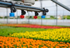 Singapore Micro Irrigation Systems Market Outlook to 2035