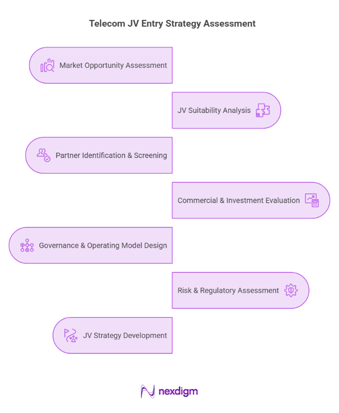 Telecom JV Entry Strategy Assessment