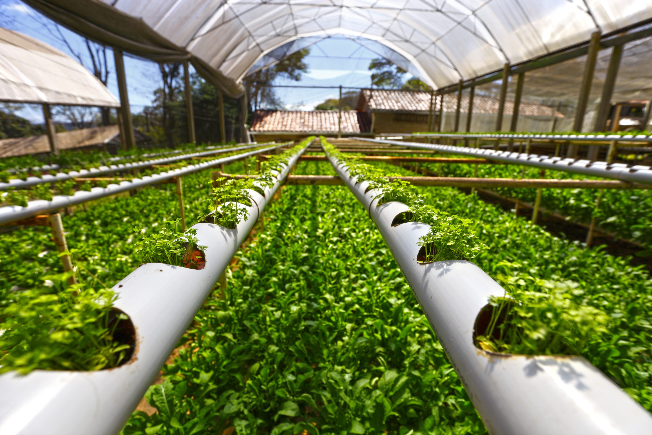 UAE Micro Irrigation Systems Market Outlook to 2035 UAE-Micro-Irrigation-Systems-Market-scaled