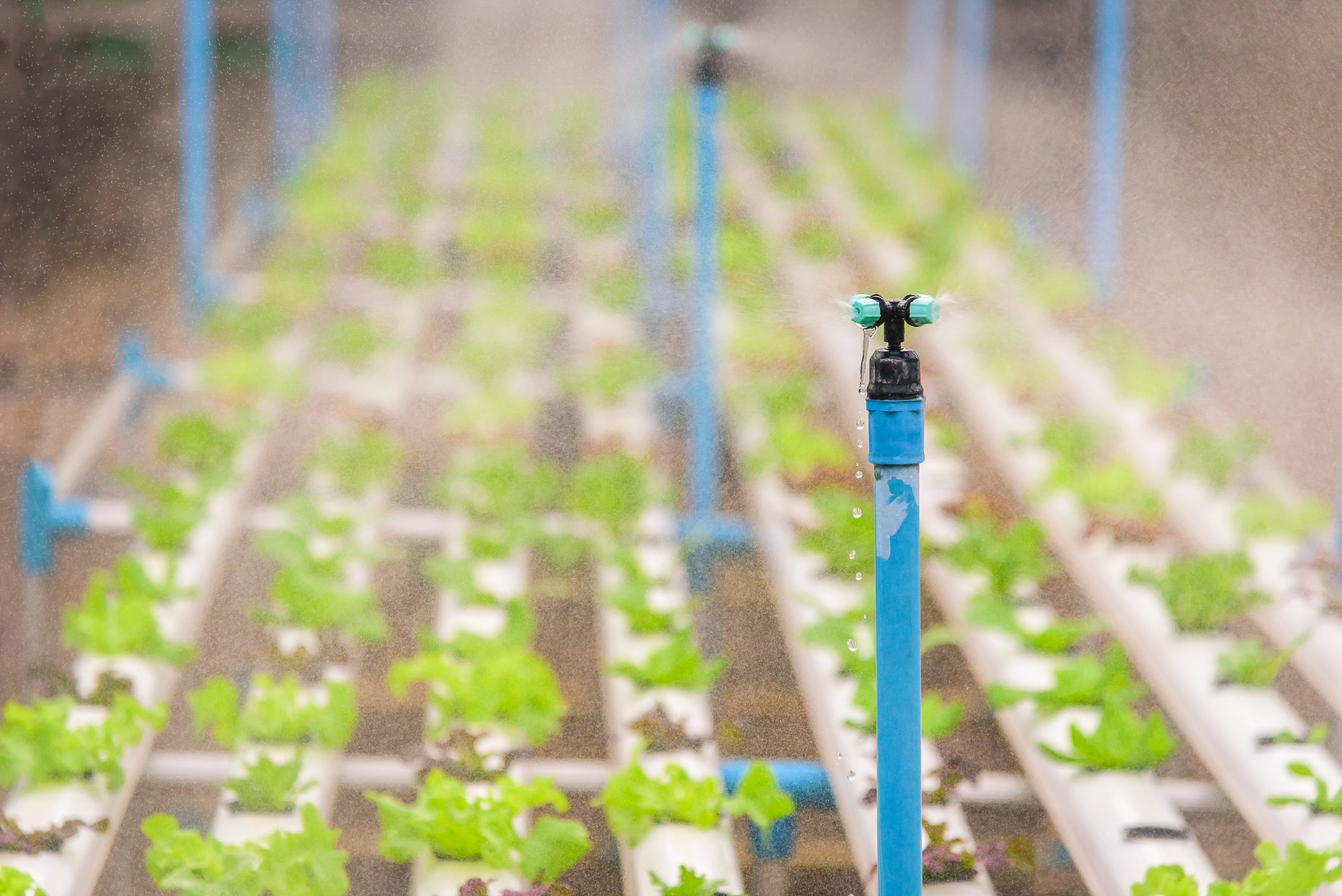 US Micro Irrigation Systems Market Outlook to 2035 US-Micro-Irrigation-Systems-Market-scaled