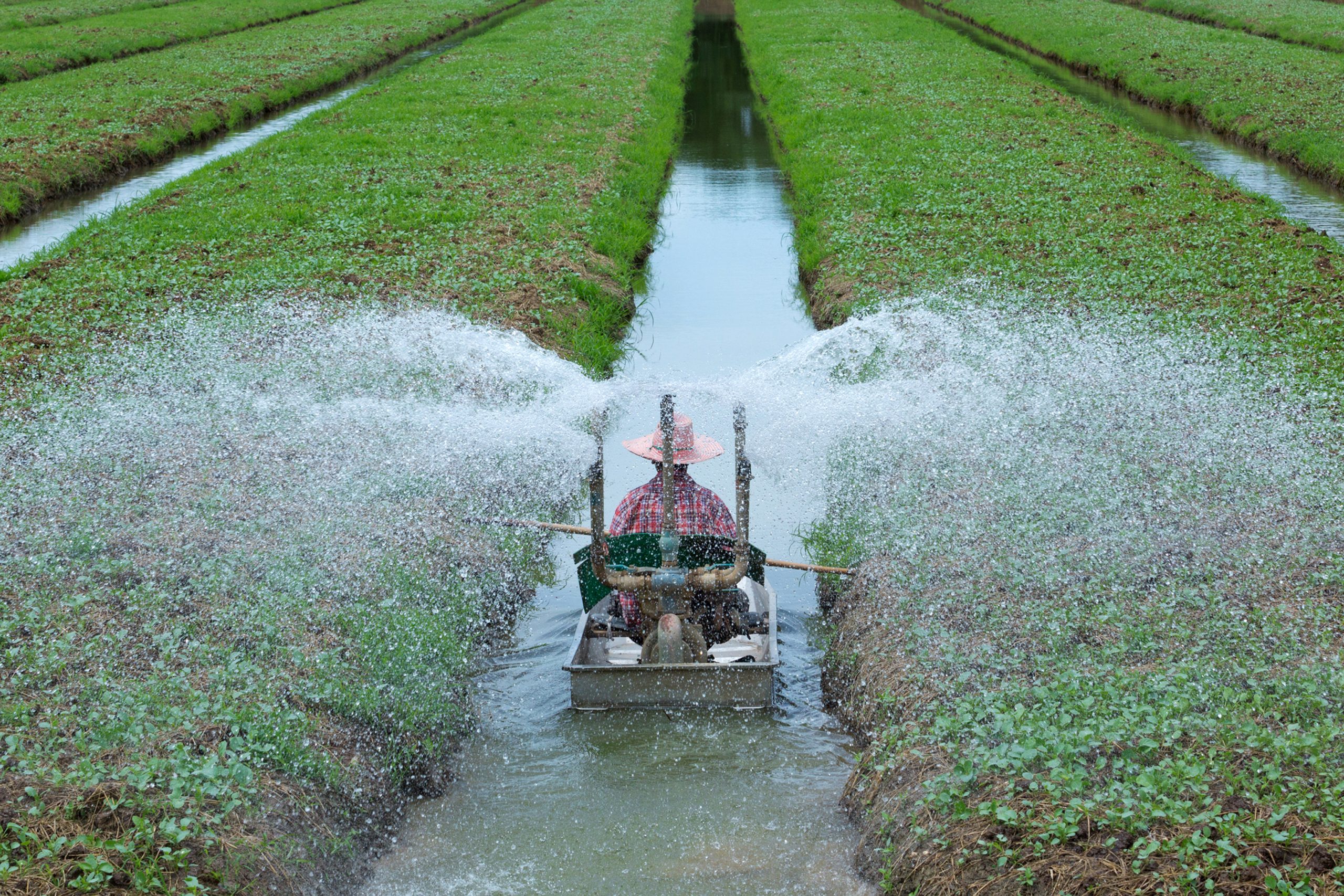Vietnam Micro Irrigation Systems Market Outlook to 2035 Vietnam-Micro-Irrigation-Systems-Market-scaled