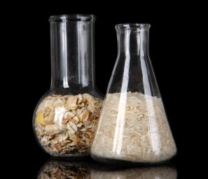 Vietnam Modified Non-Iconic Starch Market Outlook to 2035