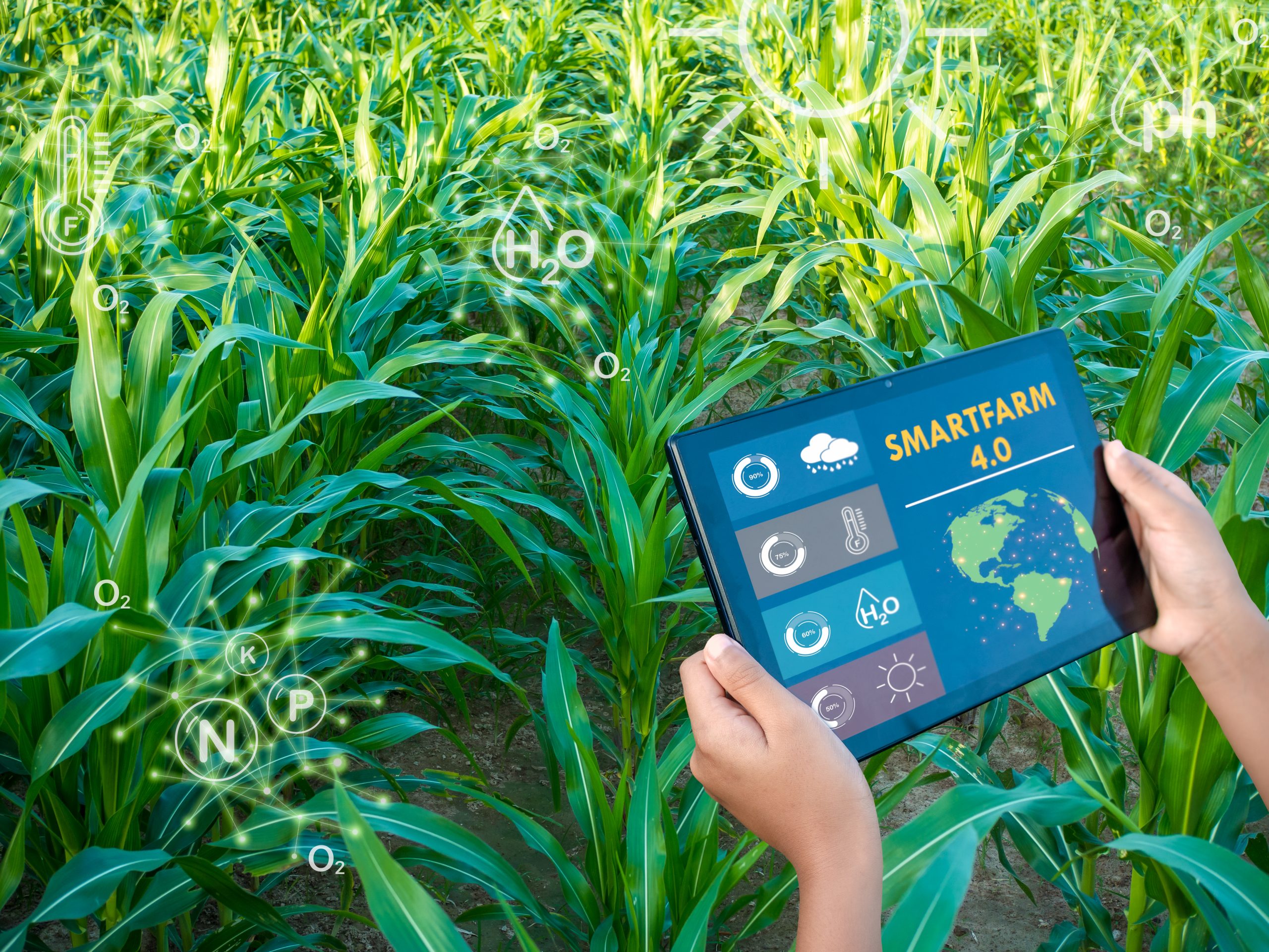 From Resilience Need to Commercial Adoption: Entering Markets for Climate-Smart Farming Solutions climate-smart-farming-market-entry-services-scaled