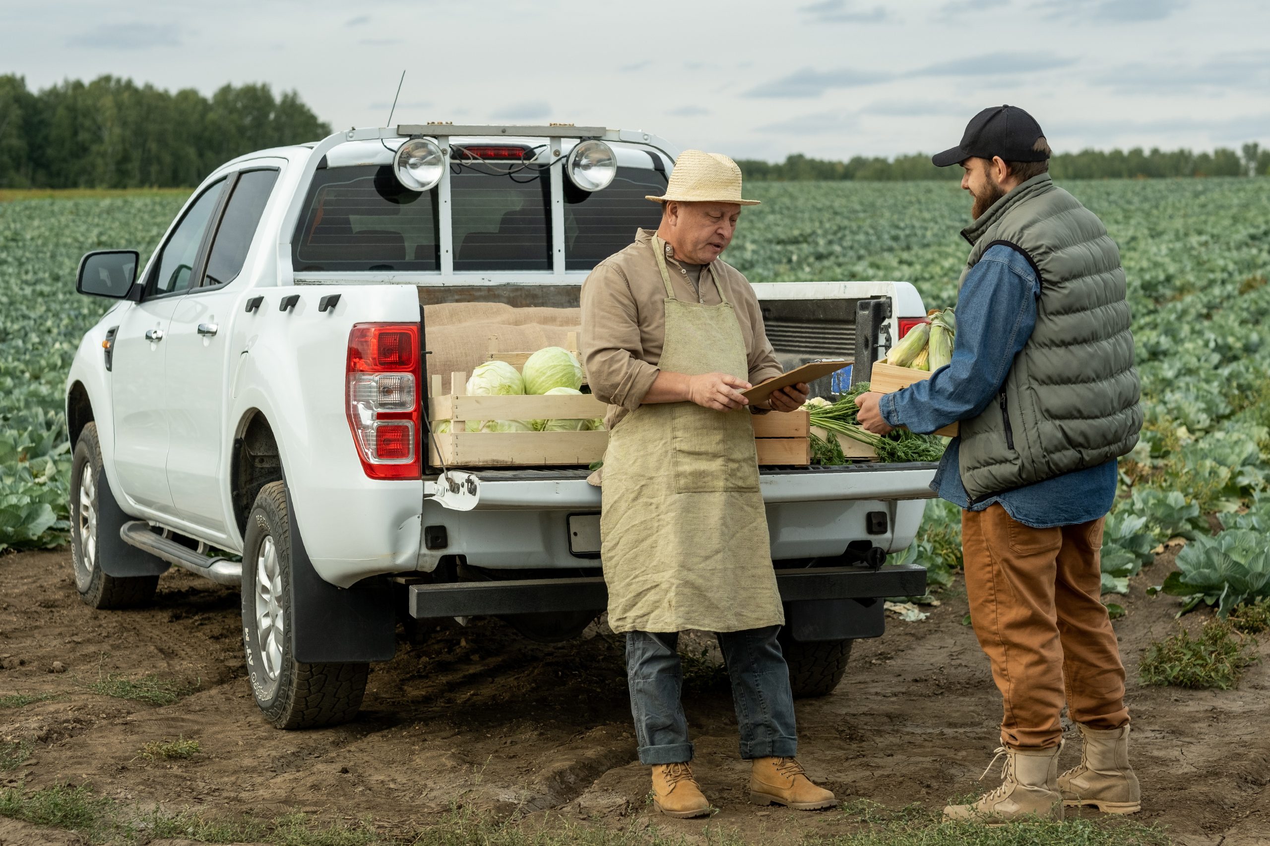 Commodity Farming Entry Strategy: Assessing Crop Profitability, Land, Inputs, Logistics, and Buyer Access commodity-farming-market-entry-services-scaled