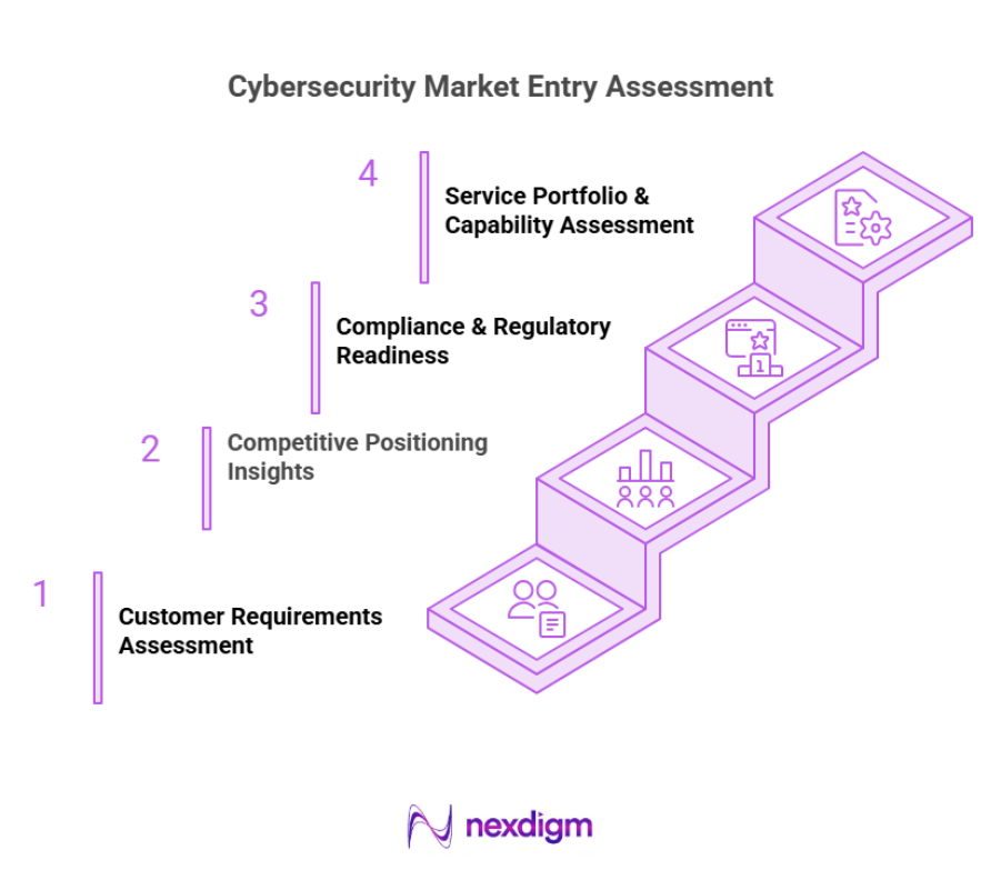 cybersecurity market entry Assessment
