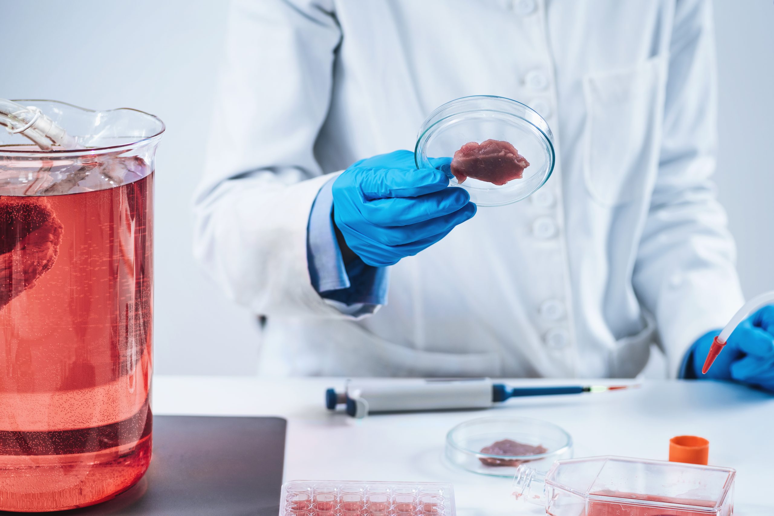 Malaysia Flocculant and Coagulant Market Outlook to 2035 female-scientist-looking-meat-sample-petri-dish-laboratory-scaled