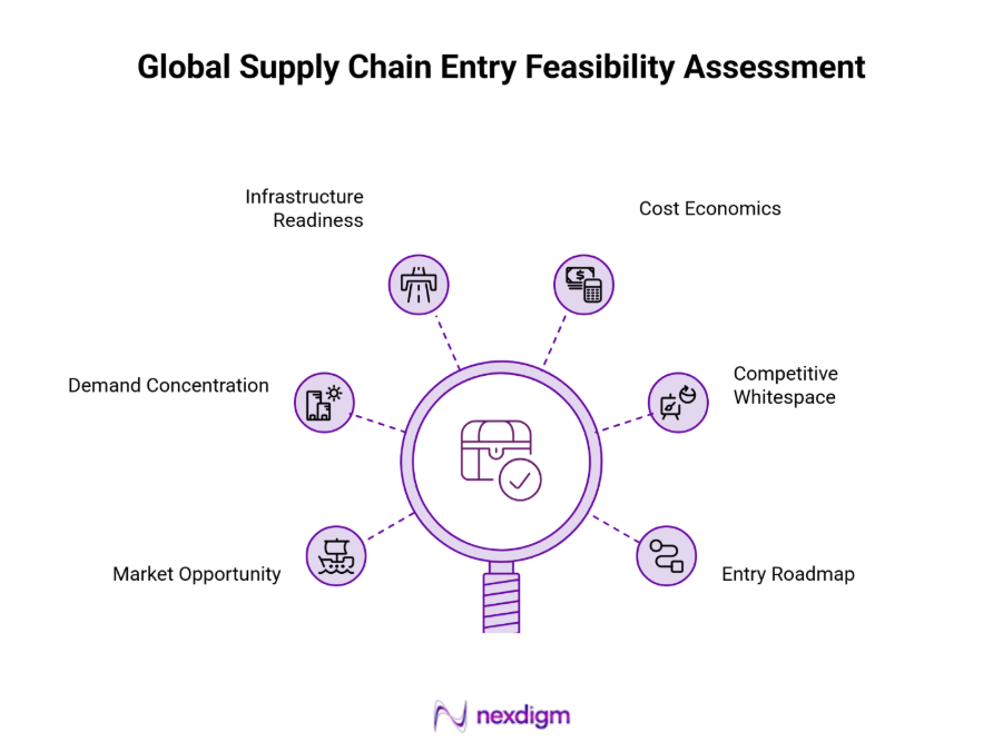 global supply chain entry feasibility assessment