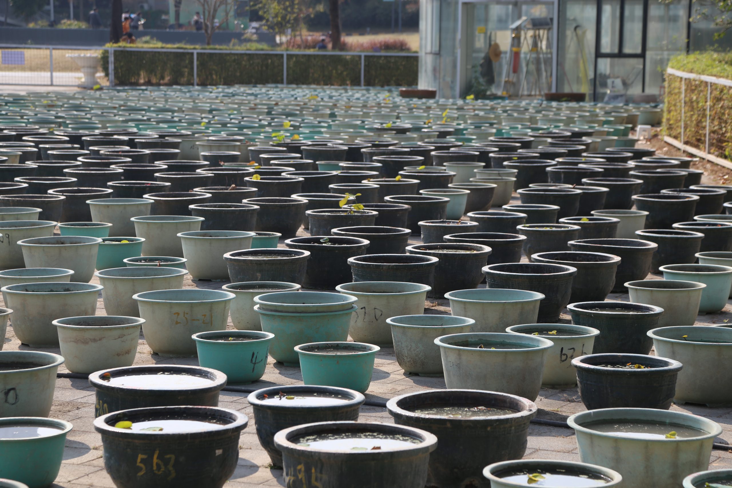 UK Advanced Ceramics Market Outlook to 2035 large-number-pots-ground-front-each-with-numbers-written-them-stand-neatly-arranged-rows-column-scaled