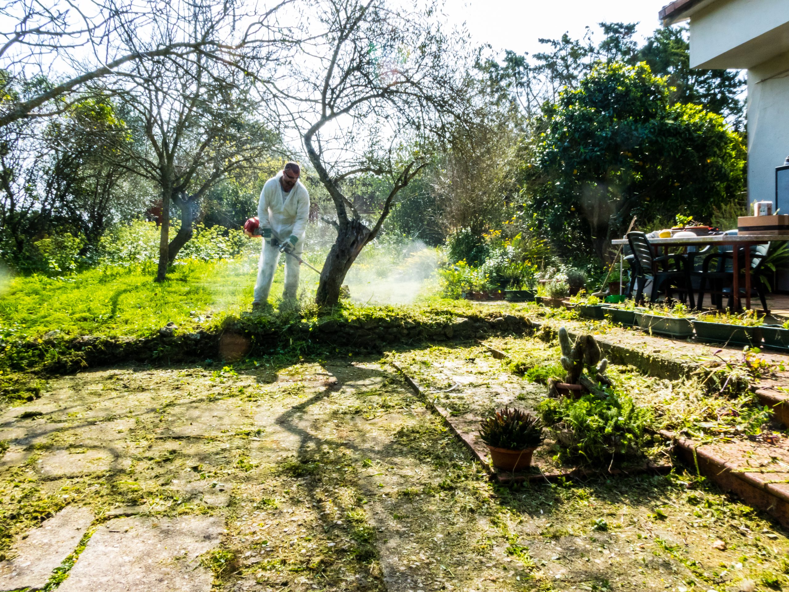 Australia Home and Garden Fungicides Market Outlook to 2035 Australia-Home-and-Garden-Fungicides-Market-scaled
