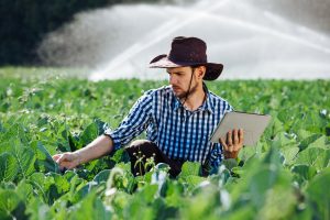 Canada Micro Irrigation Systems Market Outlook to 2035