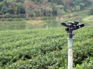 China Micro Irrigation Systems Market Outlook to 2035