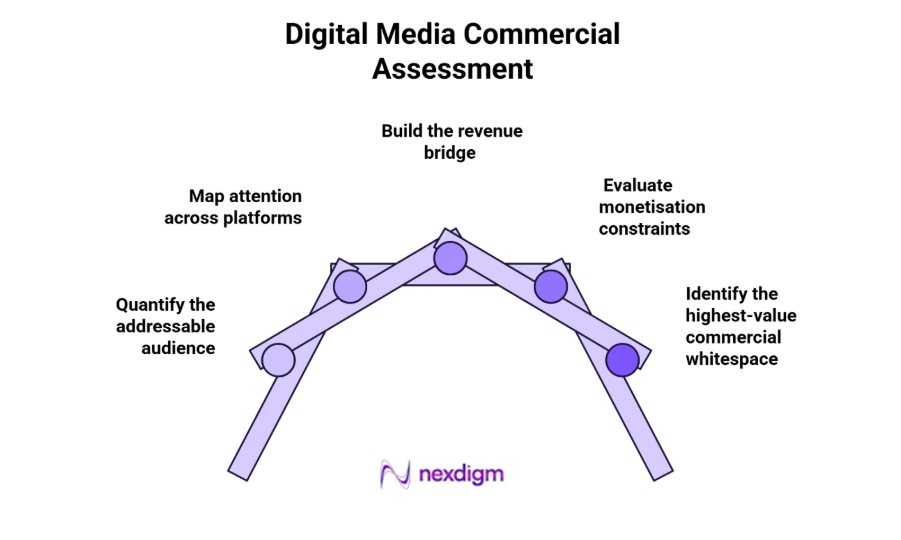 Digital Media Commercial Assessment