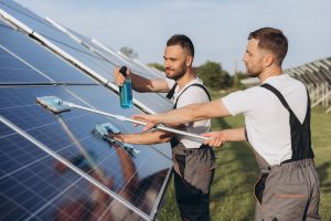 Germany Solar Panel Cleaning Systems and Services Market Outlook to 2035