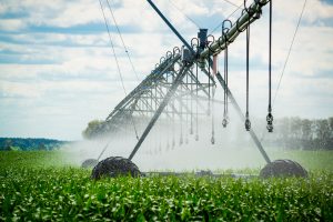 Italy Micro Irrigation Systems Market Outlook to 2035