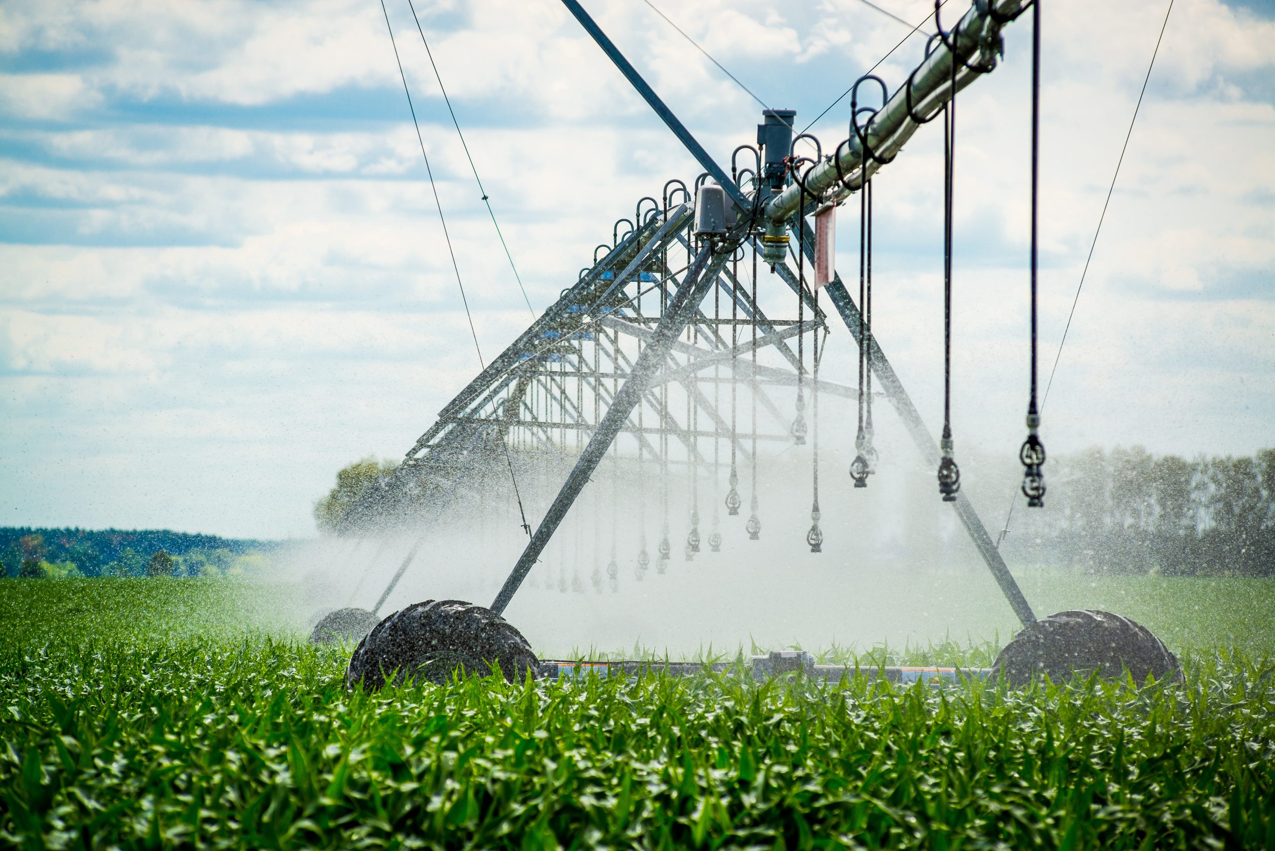 Italy Micro Irrigation Systems Market Outlook to 2035 Italy-Micro-Irrigation-Systems-Market-scaled